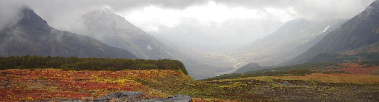 Misty mountain valley above autumn tundra